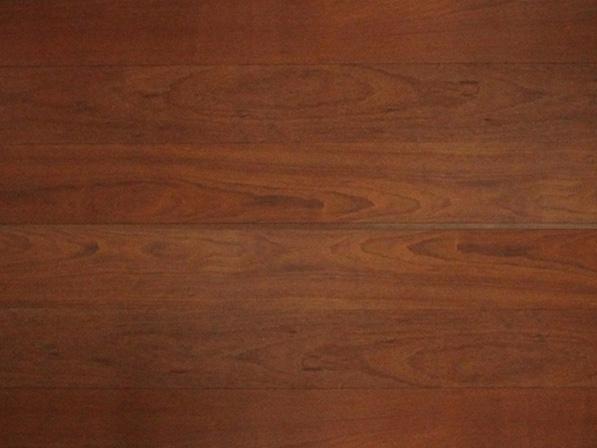 孪叶苏木香蕉色视频定制